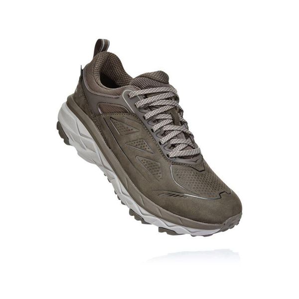 Hoka Challenger Low GORE-TEX Fjellsko Dame Brune | 634752-PBR