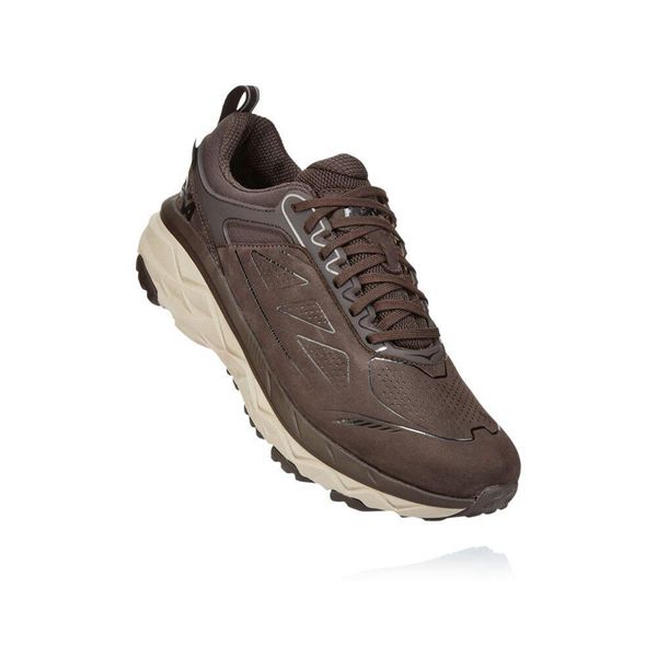 Hoka Challenger Low GORE-TEX Trail Løpesko Herre Brune Hvite | 514892-CEJ