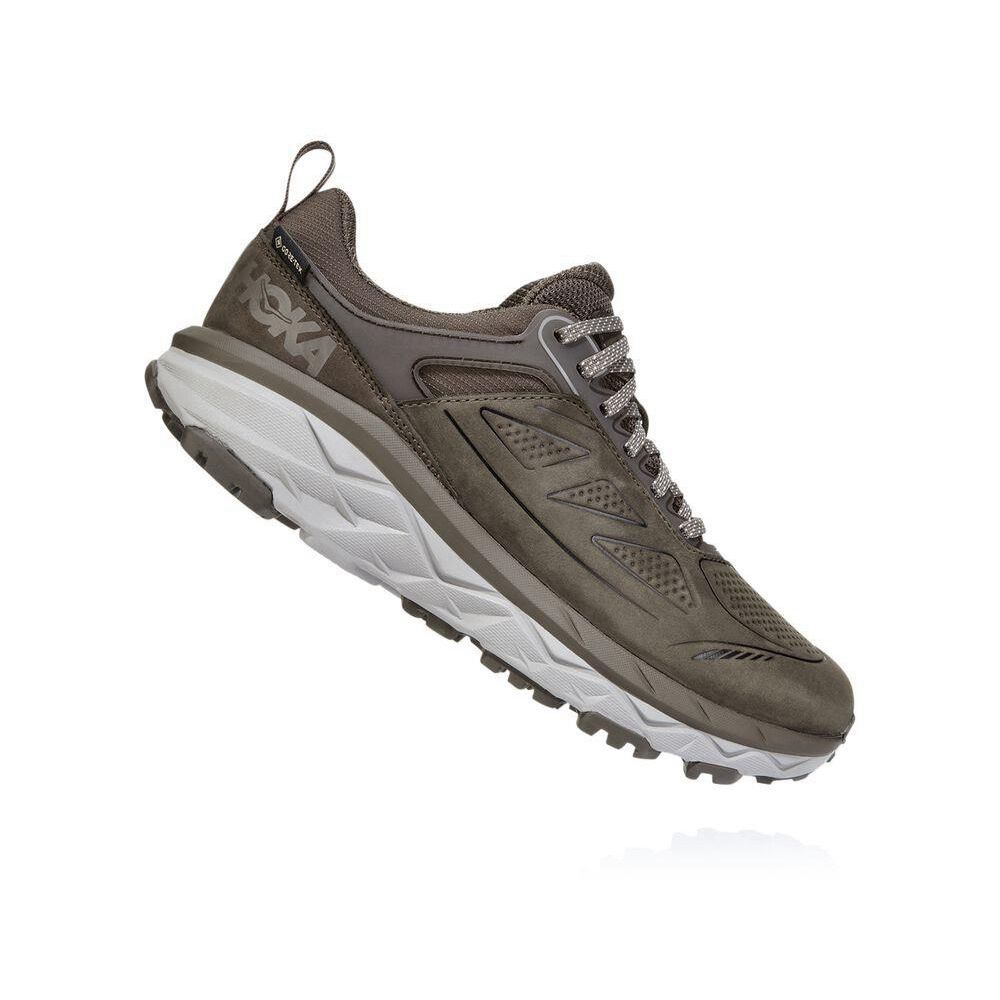 Hoka Challenger Low GORE-TEX Fjellsko Dame Brune | 634752-PBR