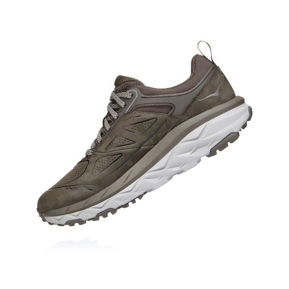 Hoka Challenger Low GORE-TEX Fjellsko Dame Brune | 634752-PBR