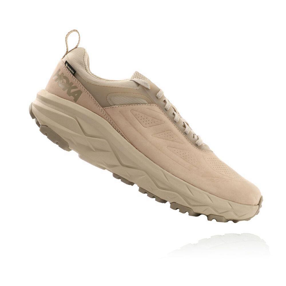 Hoka Challenger Low GORE-TEX Fjellsko Herre Brune | 705139-XLC