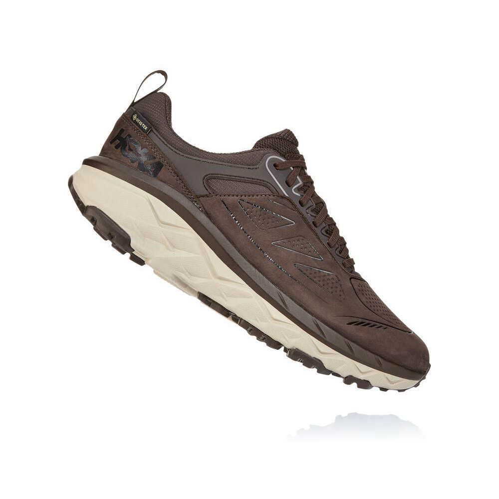 Hoka Challenger Low GORE-TEX Fjellsko Herre Brune Hvite | 815476-DQE