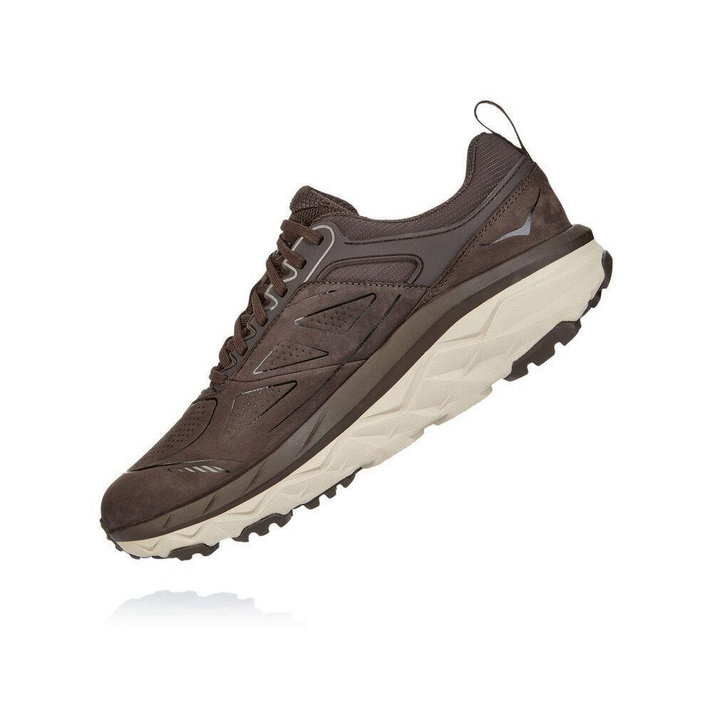 Hoka Challenger Low GORE-TEX Fjellsko Herre Brune Hvite | 815476-DQE