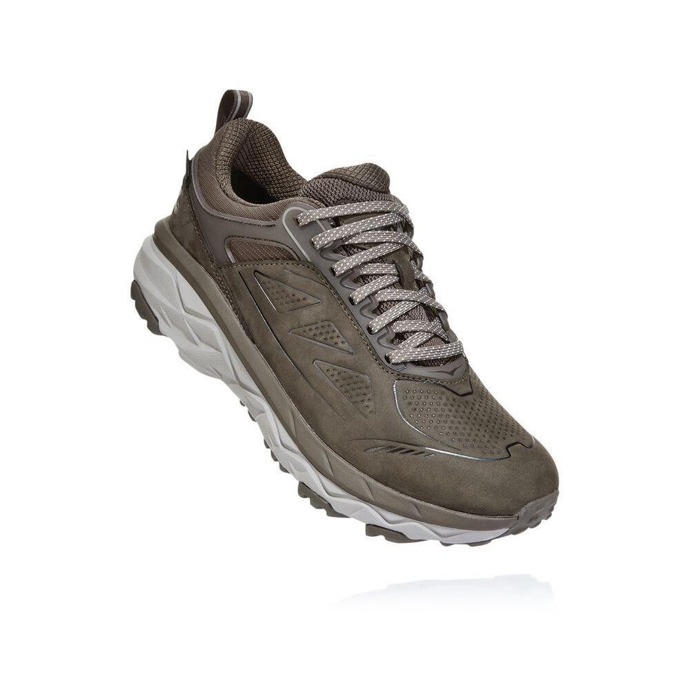 Hoka Challenger Low GORE-TEX Løpesko Dame Brune | 627395-MFR