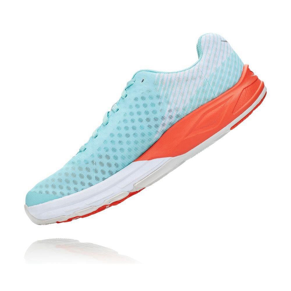 Hoka EVO Carbon Rocket Gåsko Herre Blå | 960143-TAC