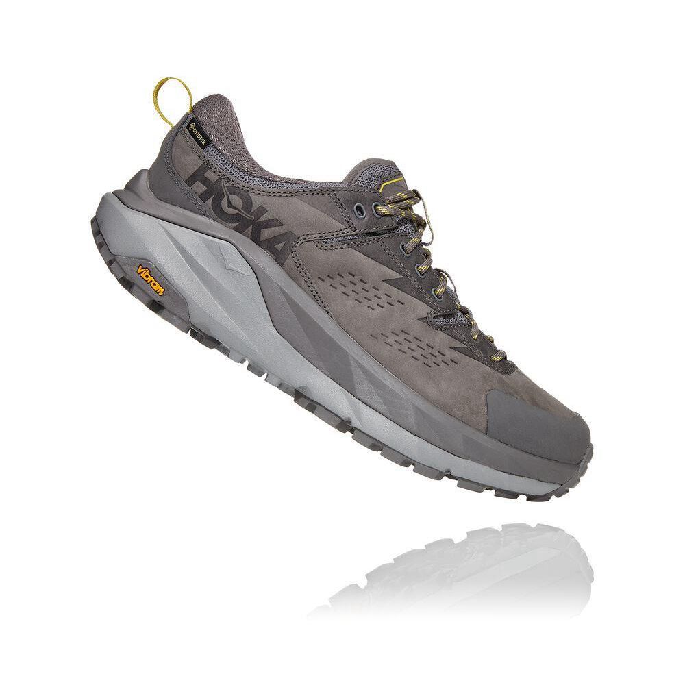 Hoka Kaha Low GTX Fjellsko Herre Grå | 207683-DRT