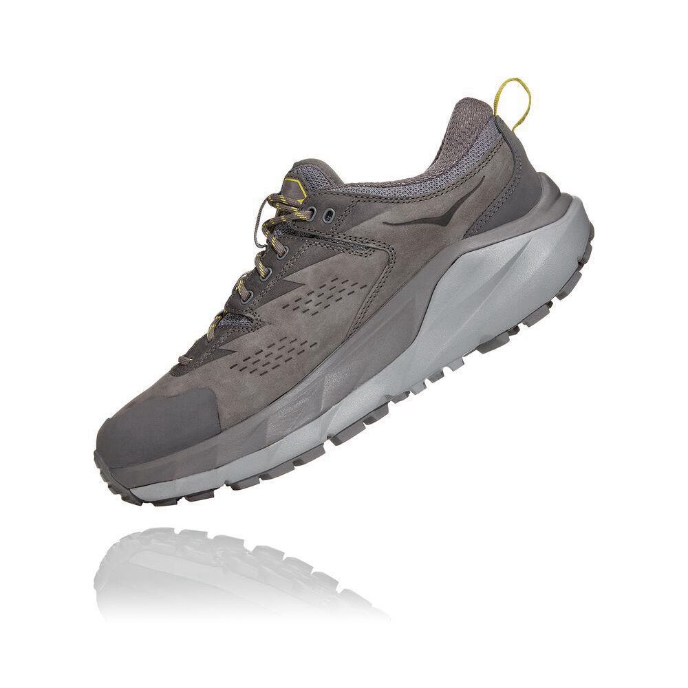 Hoka Kaha Low GTX Fjellsko Herre Grå | 207683-DRT